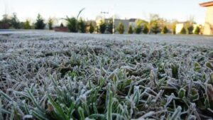 Llega el primer frío intenso del año a Misiones con mínimas de hasta 3 °C